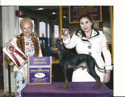 Marit and Sailor at Westminster
