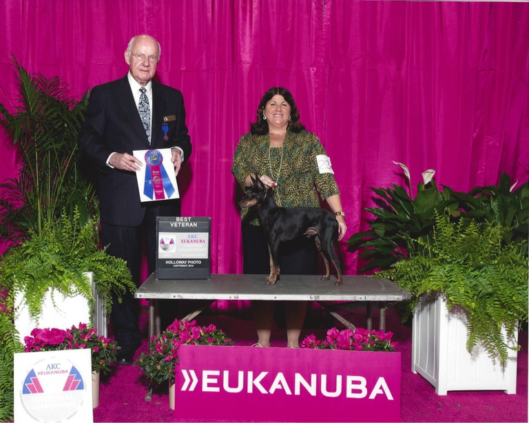 Best Veteran Eukanuba