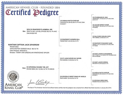 CaptainPedigree
