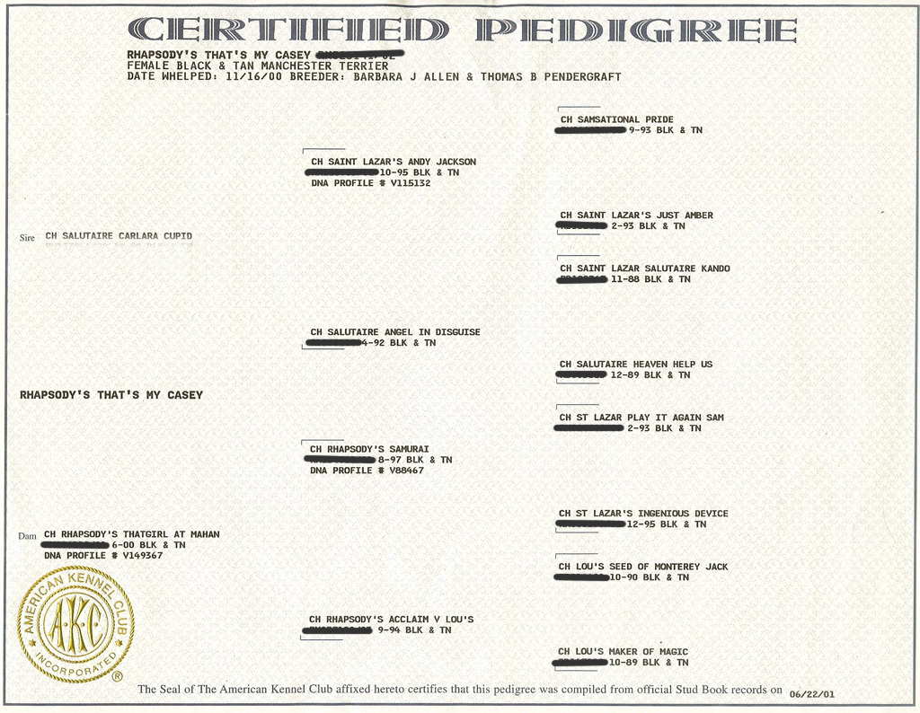 Casey's Pedigree